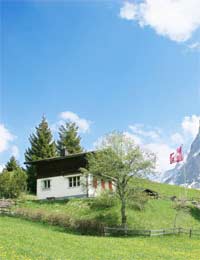 Buying Property In Switzerland Rental