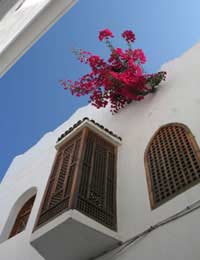 Morocco Property Homes Houses Sale Buy