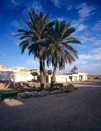 Tunisia Morocco Property Homes Houses